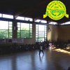 festaprimav2012_16